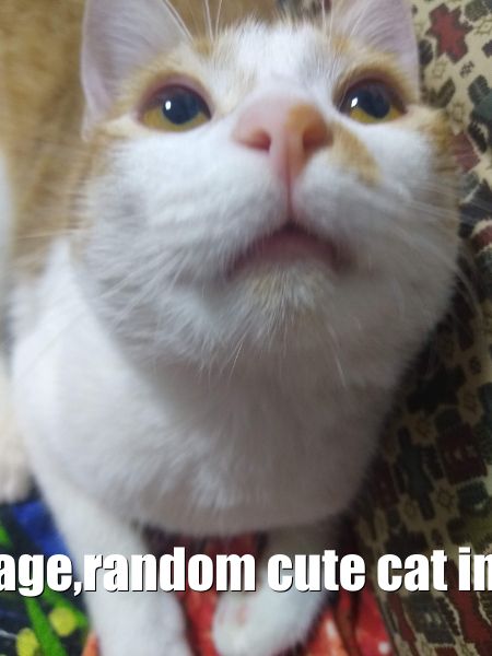 picture for the listing called Football shoes